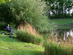 Competities HSV Alfheim